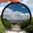 Polarizer